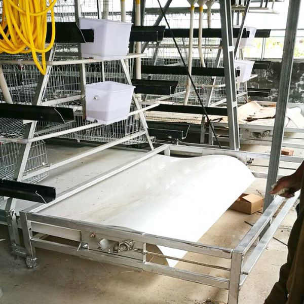 PP帶蛋雞清糞機(jī)